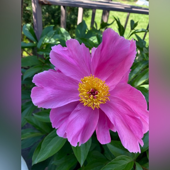 Self Care Wednesday @1pm EST - Picture 14 of 15